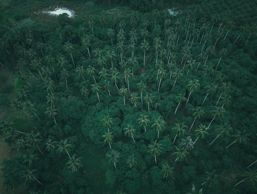 Ecoturismo Brasil: Cenário de Filmes e Séries